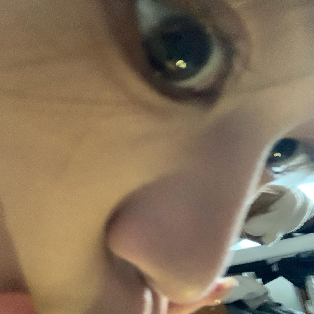 每天都很困.