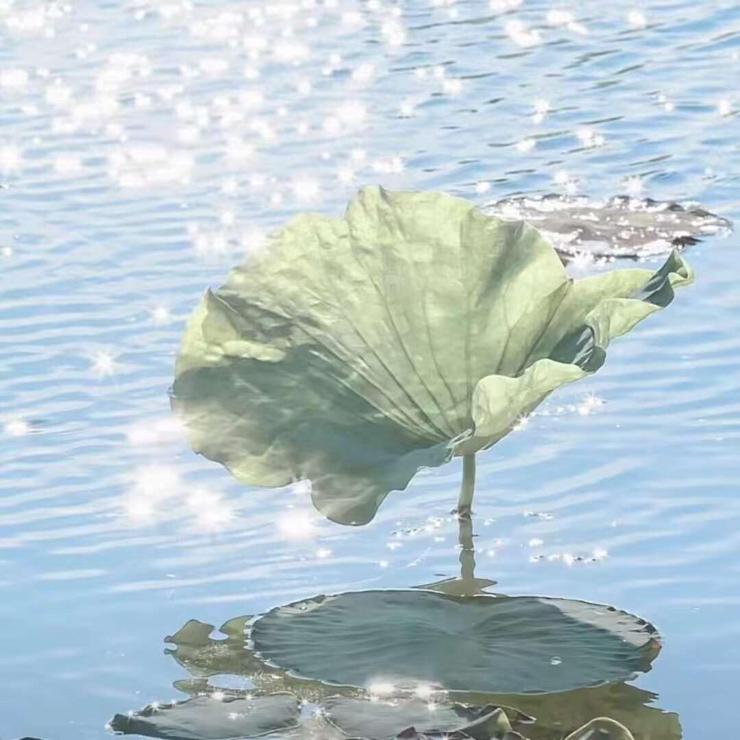 西兰花蘸大酱