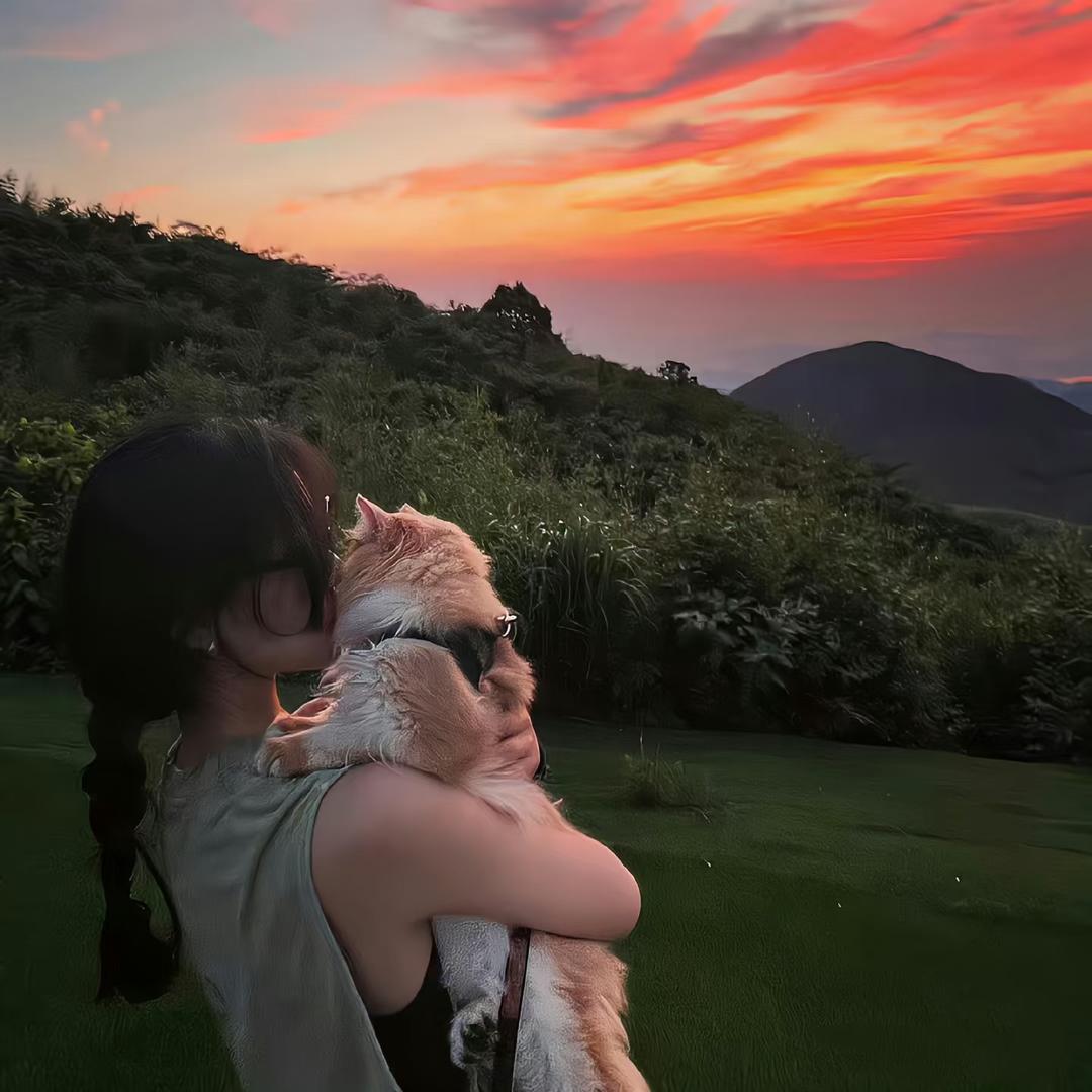 @暴躁的惠惠子🌶️