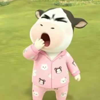 我老妈说只要名字够长就有白痴跟着念