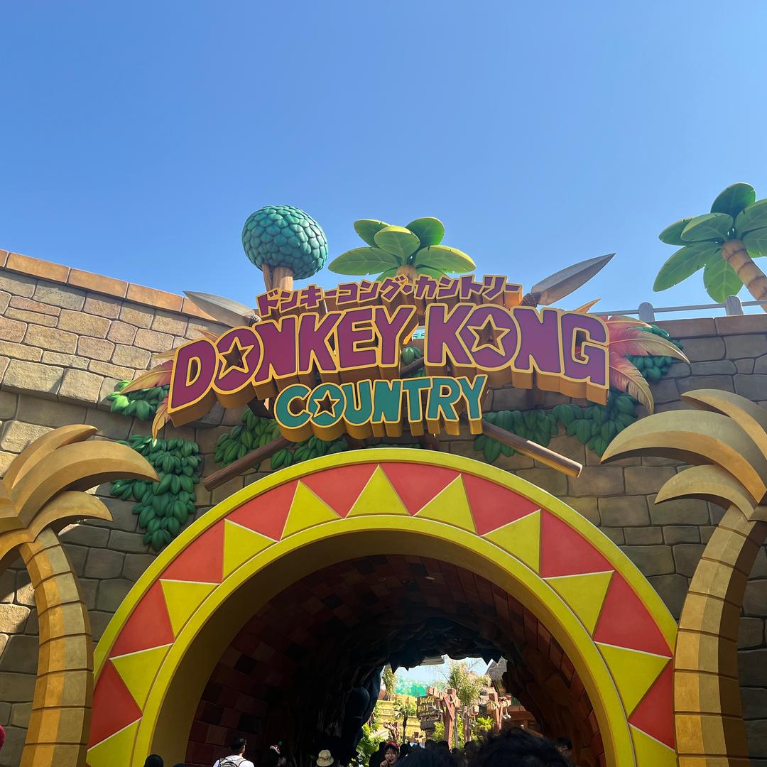 刚学习飞行的麻雀