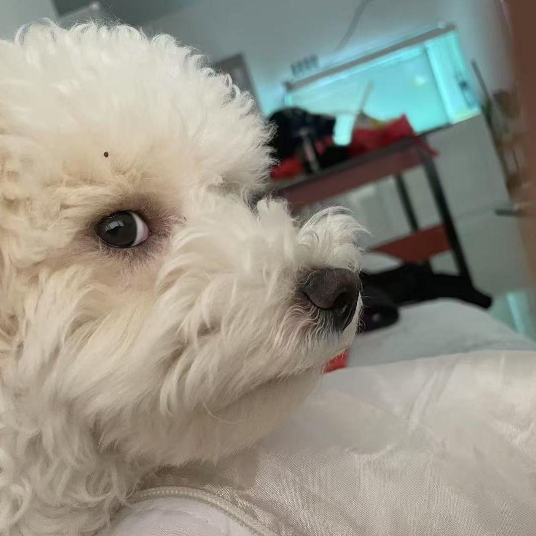 山东汇容客信息科技有限公司