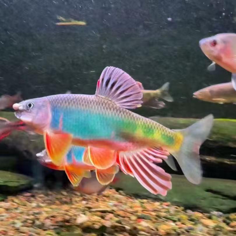 武义兮语综合优品小铺