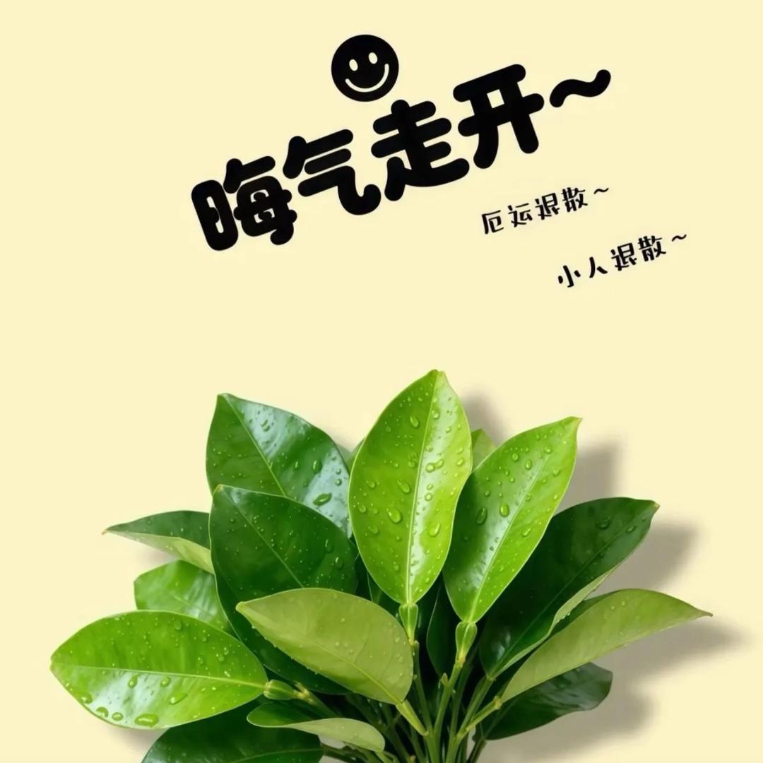 玉🌾🈶💰🌶️🫚🧄