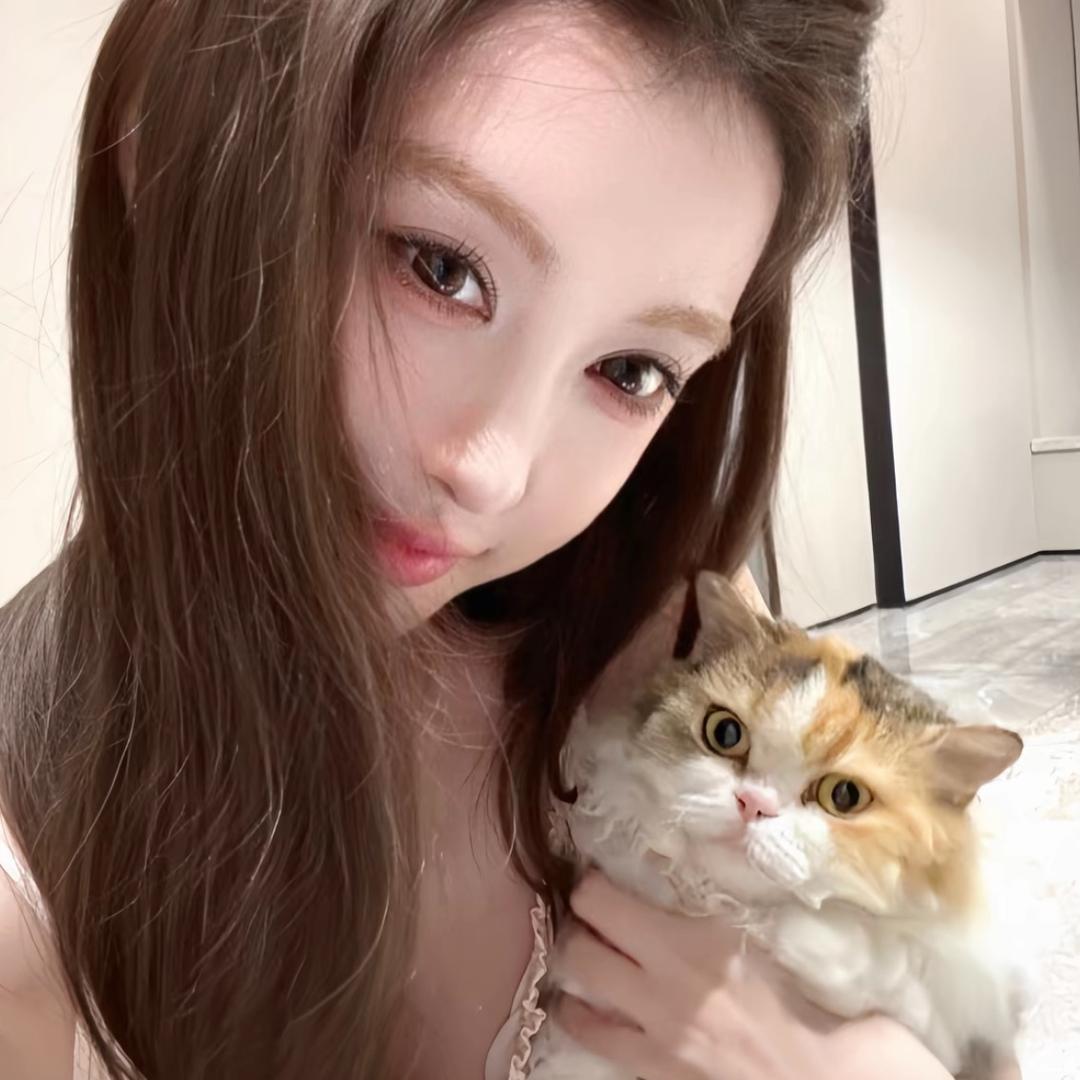 忧郁小蛋挞