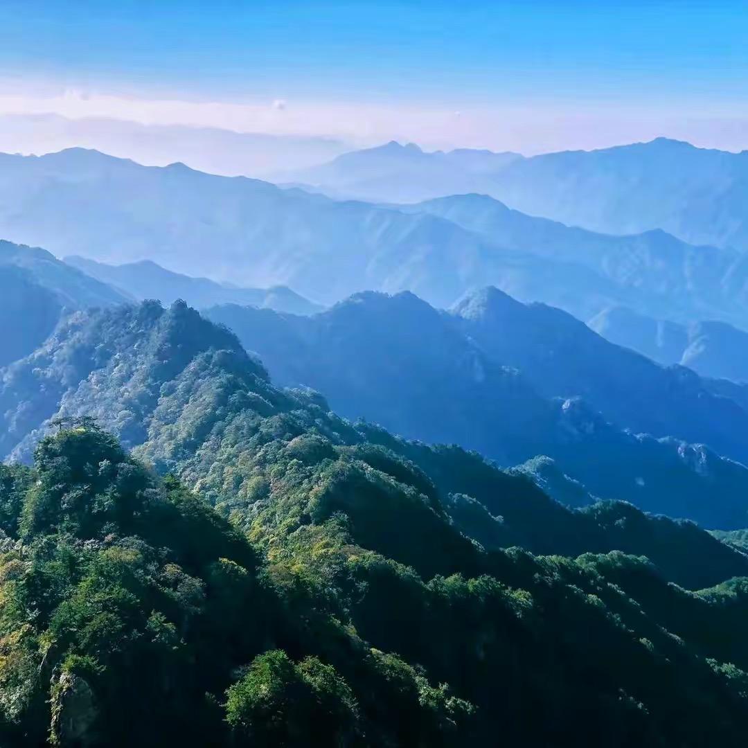 ✎ℳ₯㎕𓄂格局𓆃💫