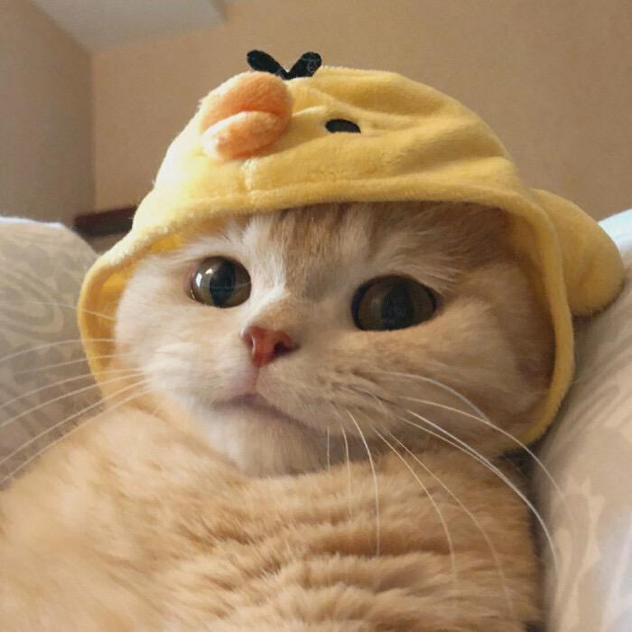 小立在努力