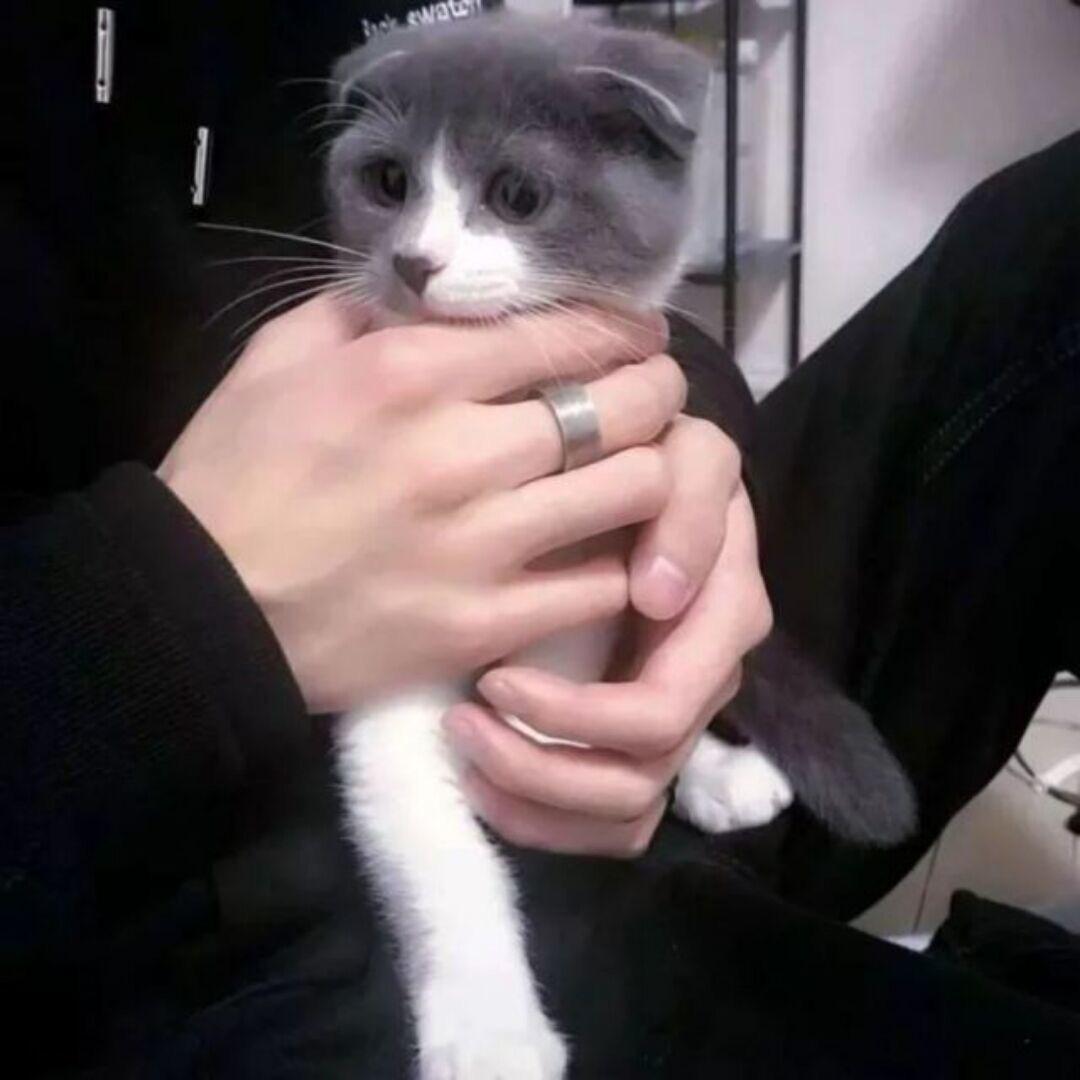 Z℡〖承蒙厚爱〗