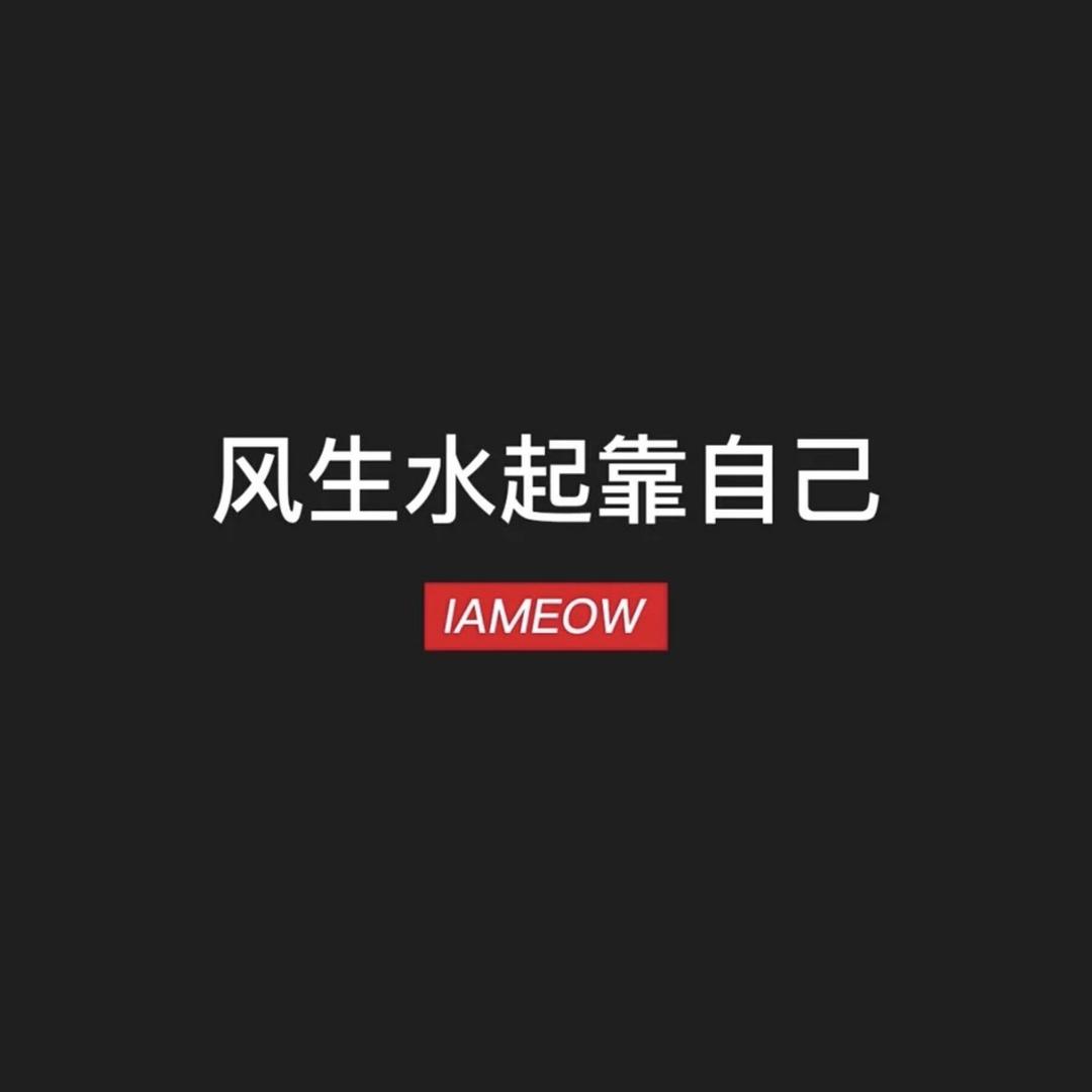 朱小提