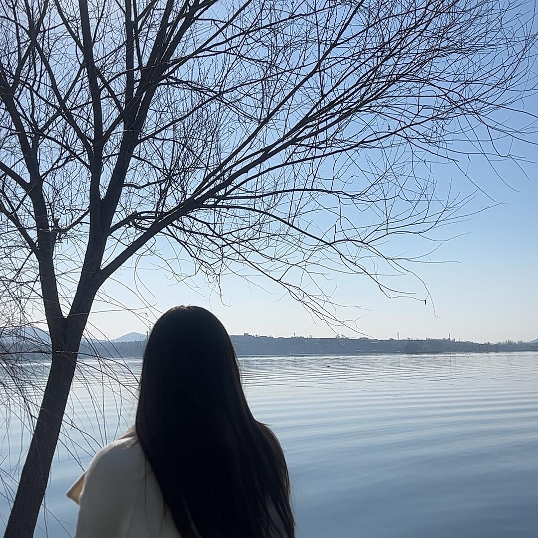 陈陈