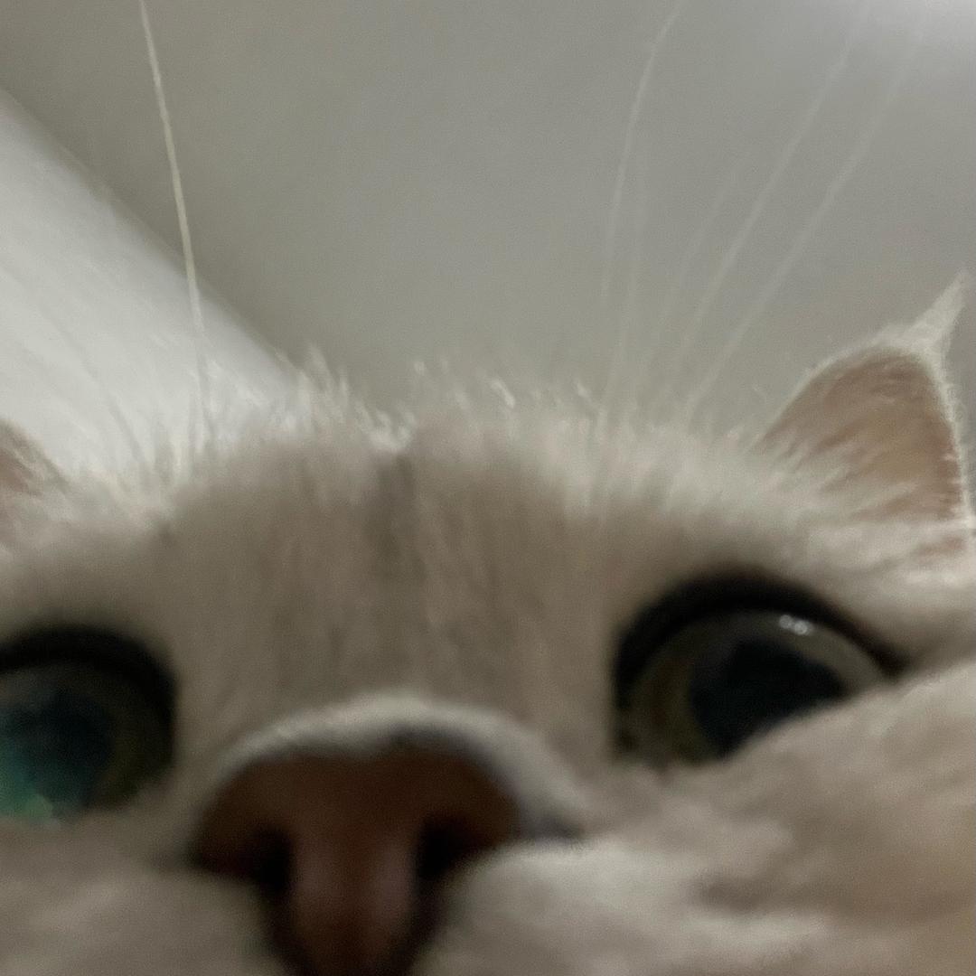 Echo