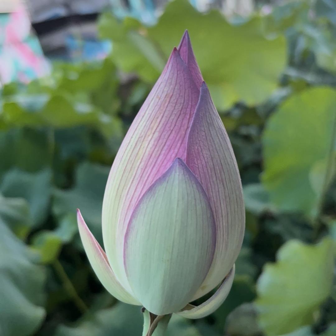 ໑ຼₒ₂₄ღ冷暖自知꧔ꦿ💘ོ࿐ᩚ