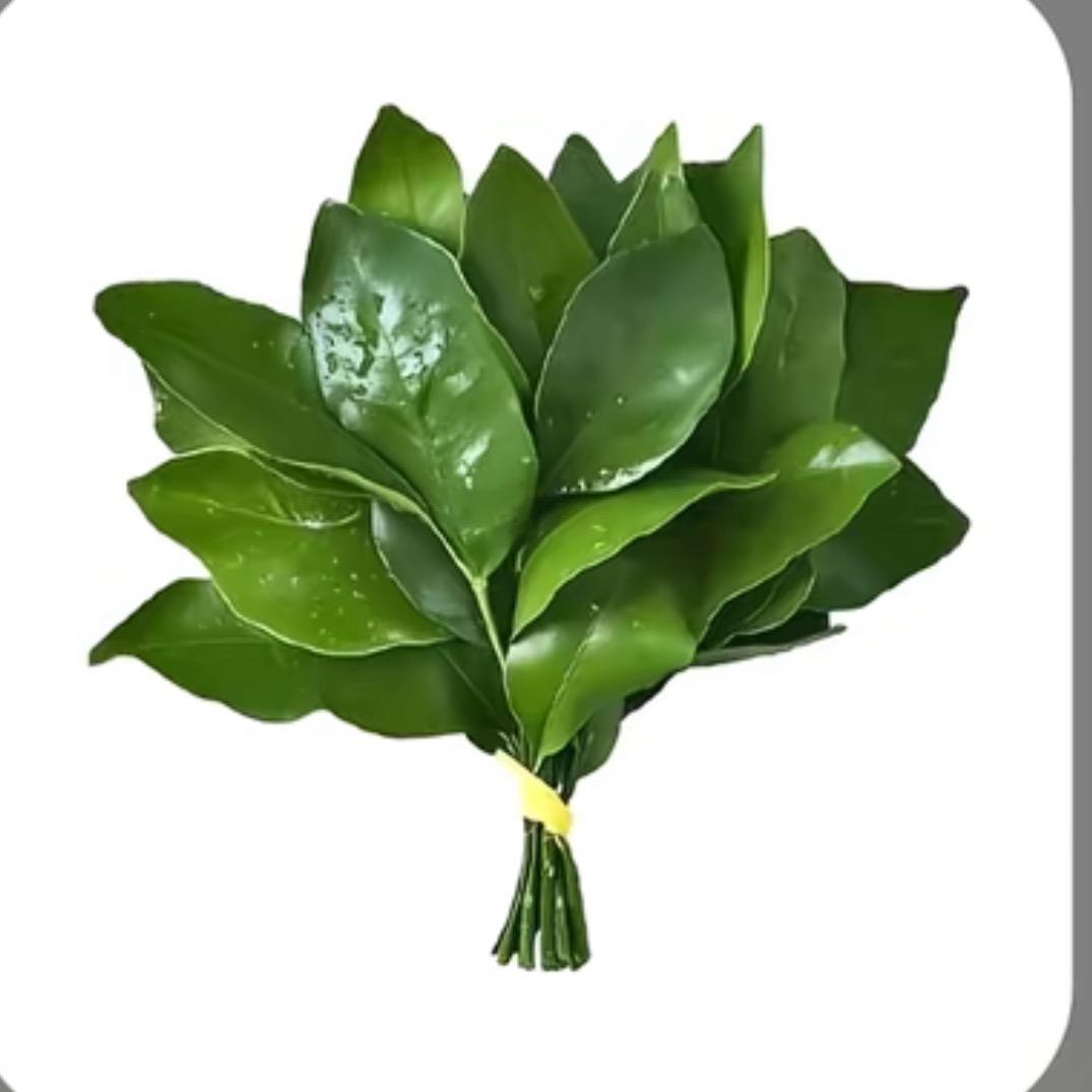 溪