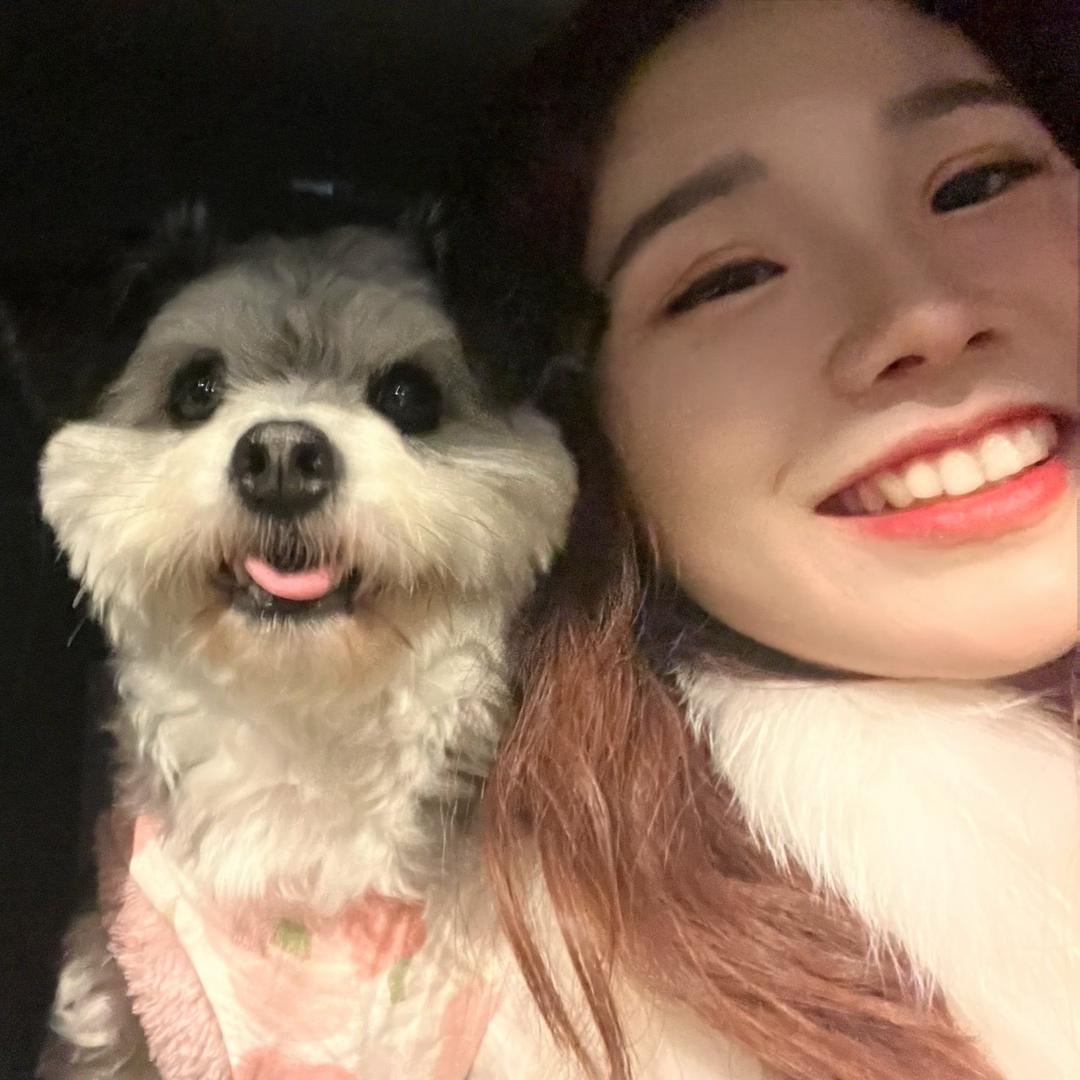 태양