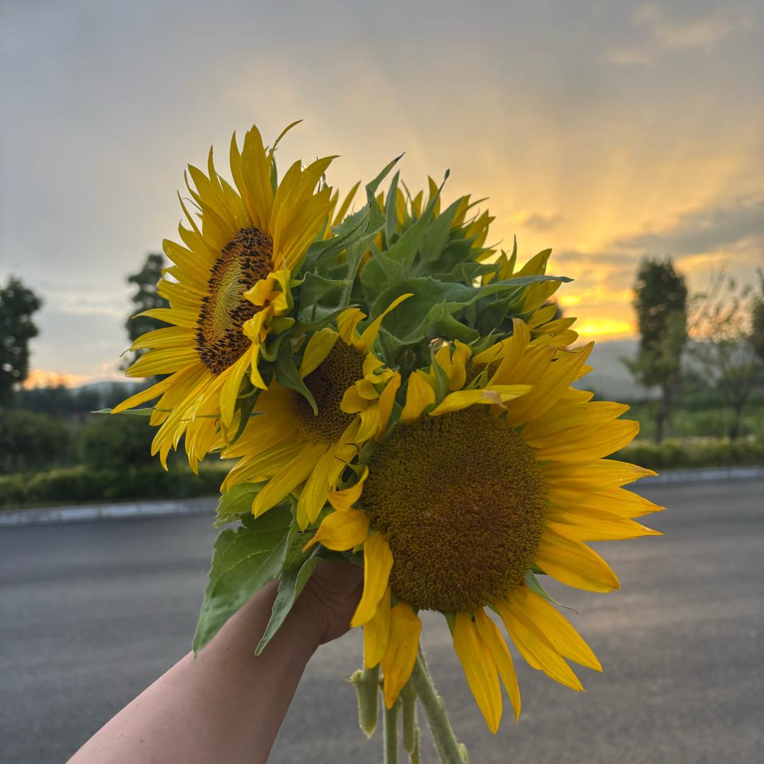 漫漫.小时光🌿🌿