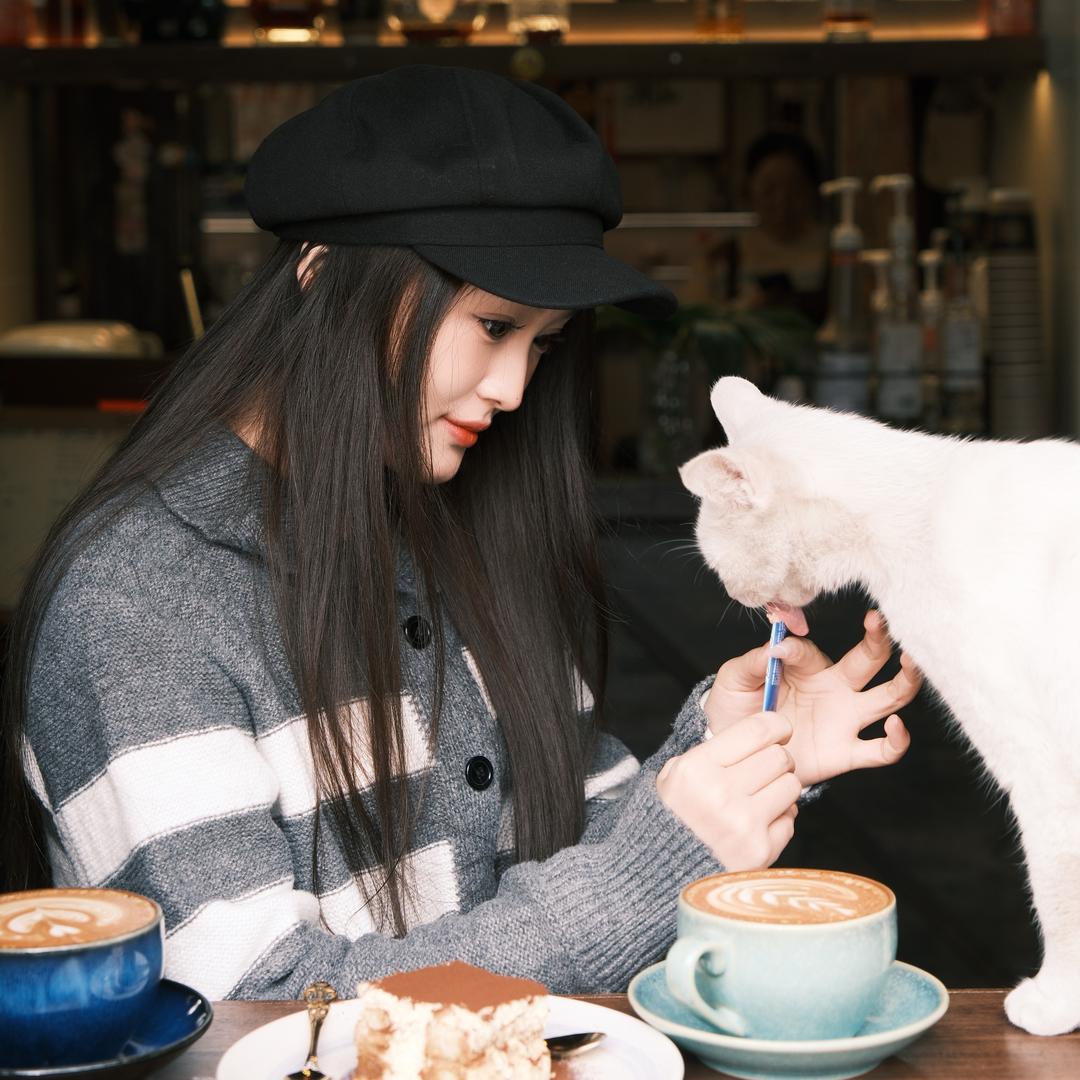 富贵佳菲猫🐱