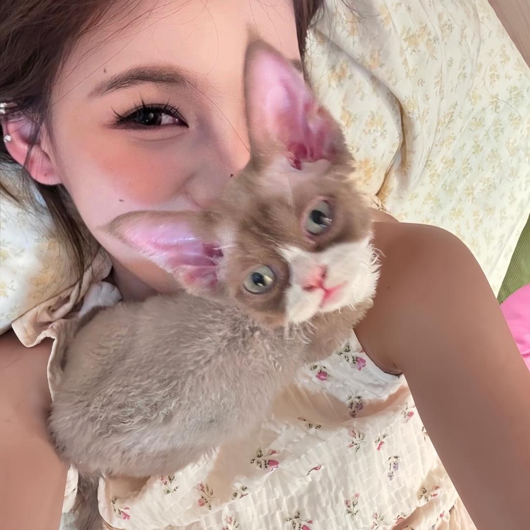 榴莲派