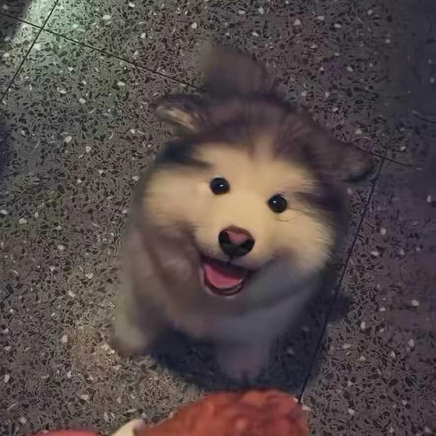 北北