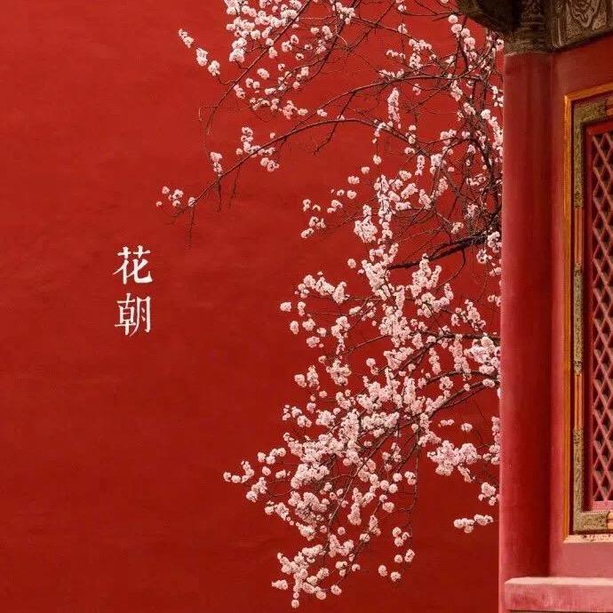 山东稳步堂