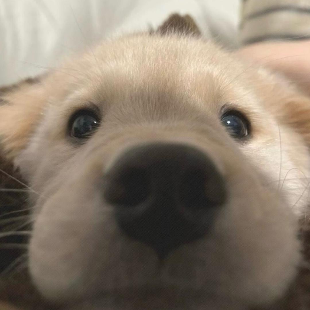 讨厌裤衩夹屁股