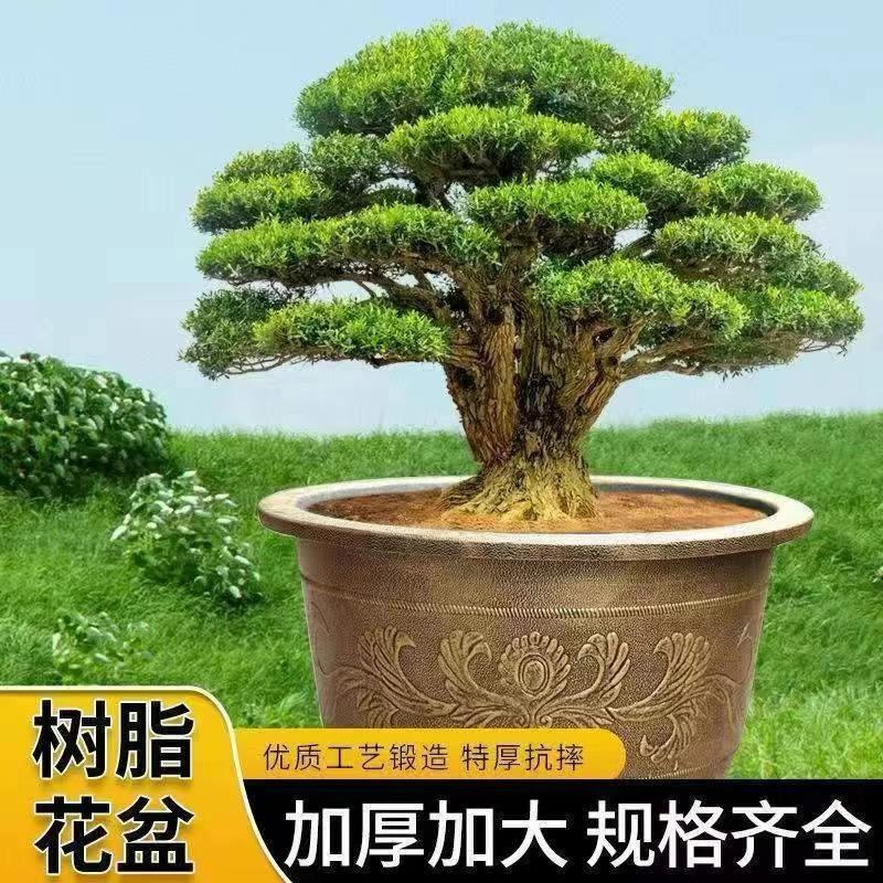 笑语铝塑花盆厂