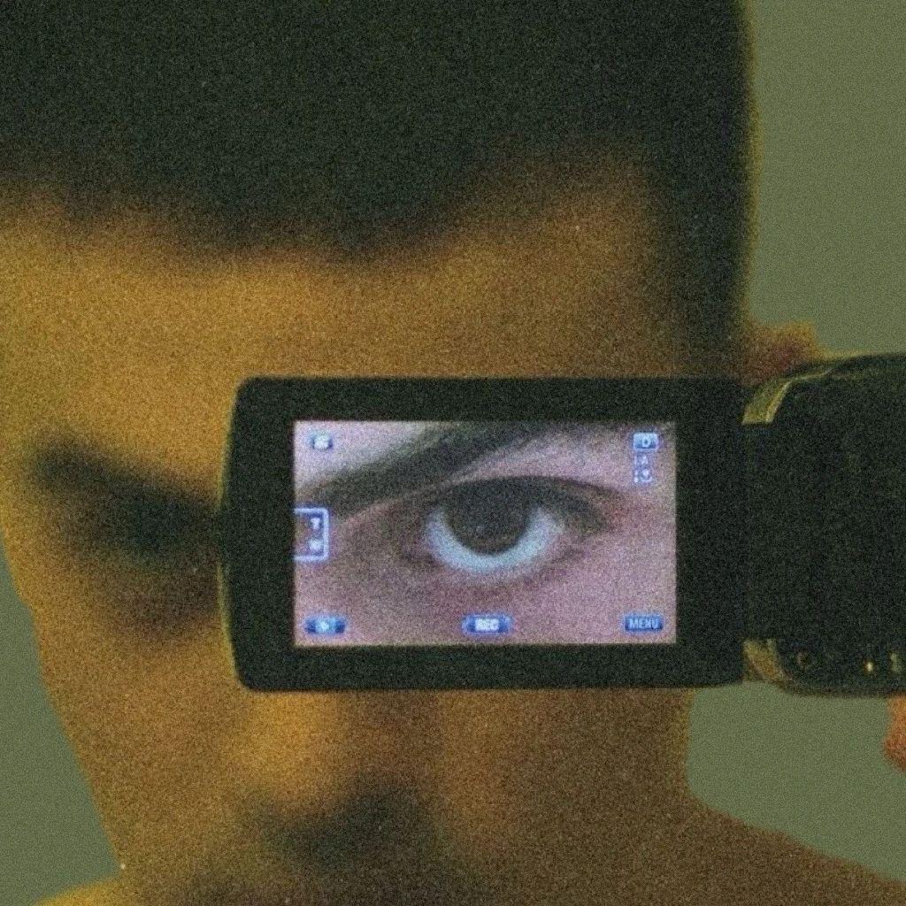柳树林-