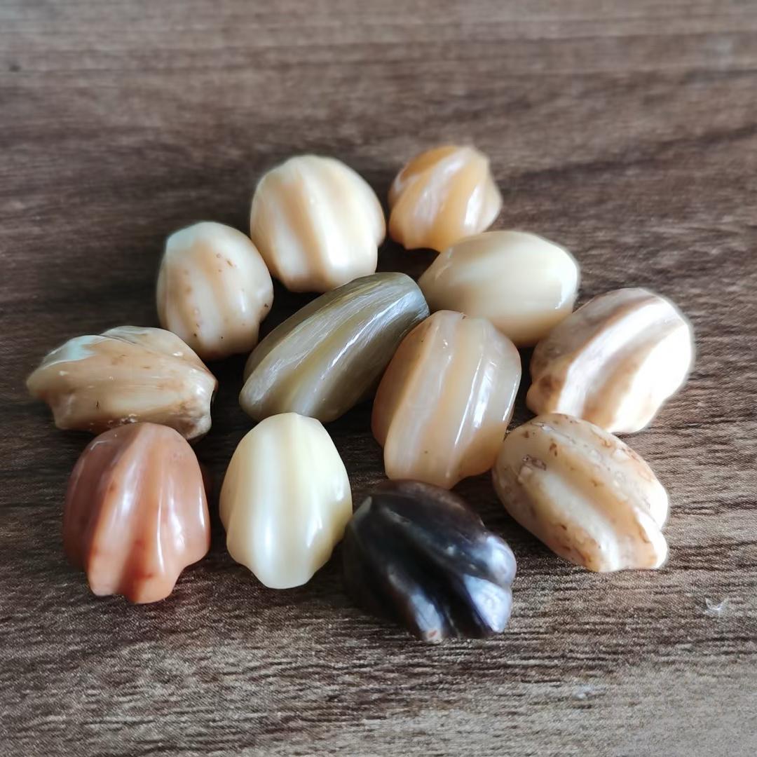 13号菩提