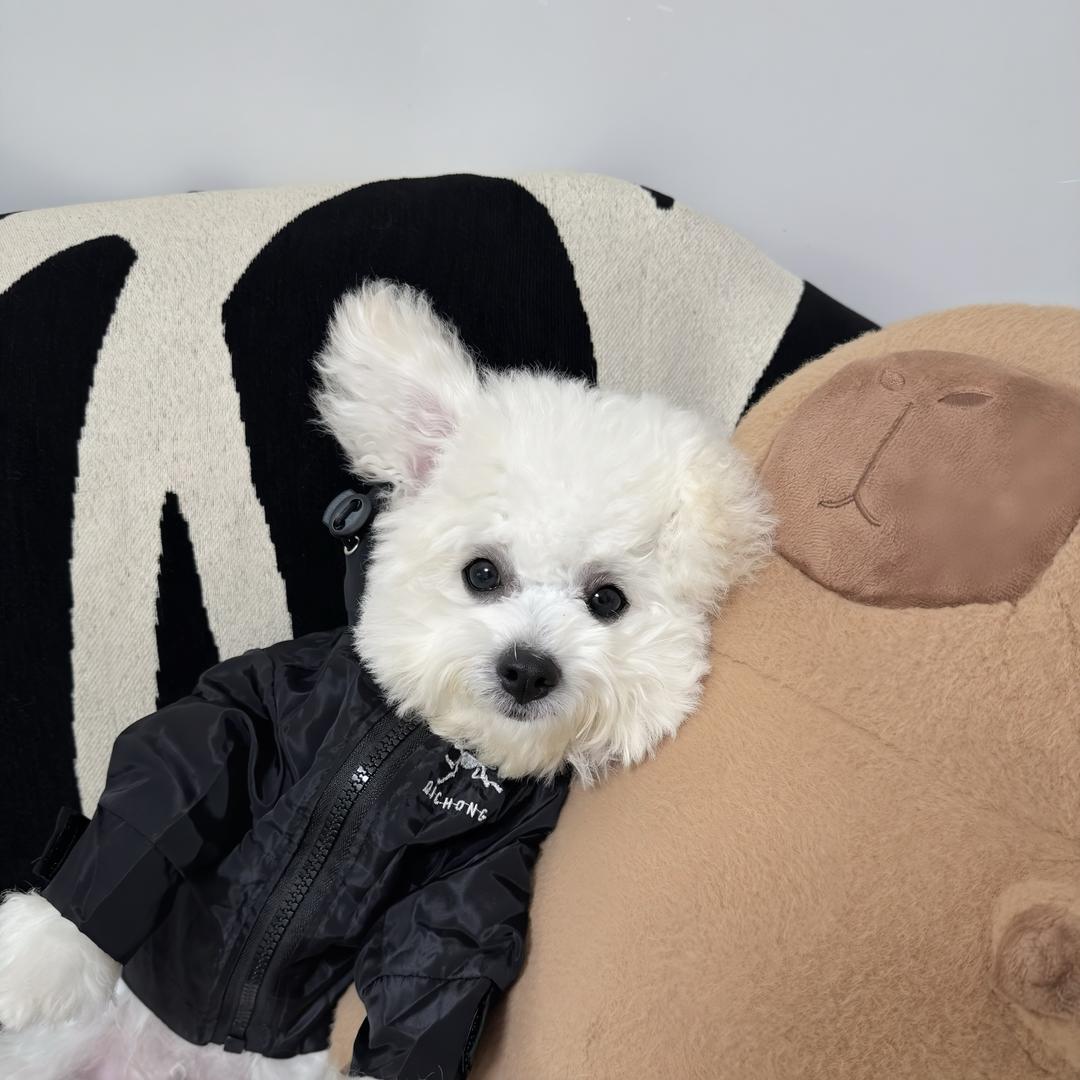 星潮汇客厅🧸可心经理