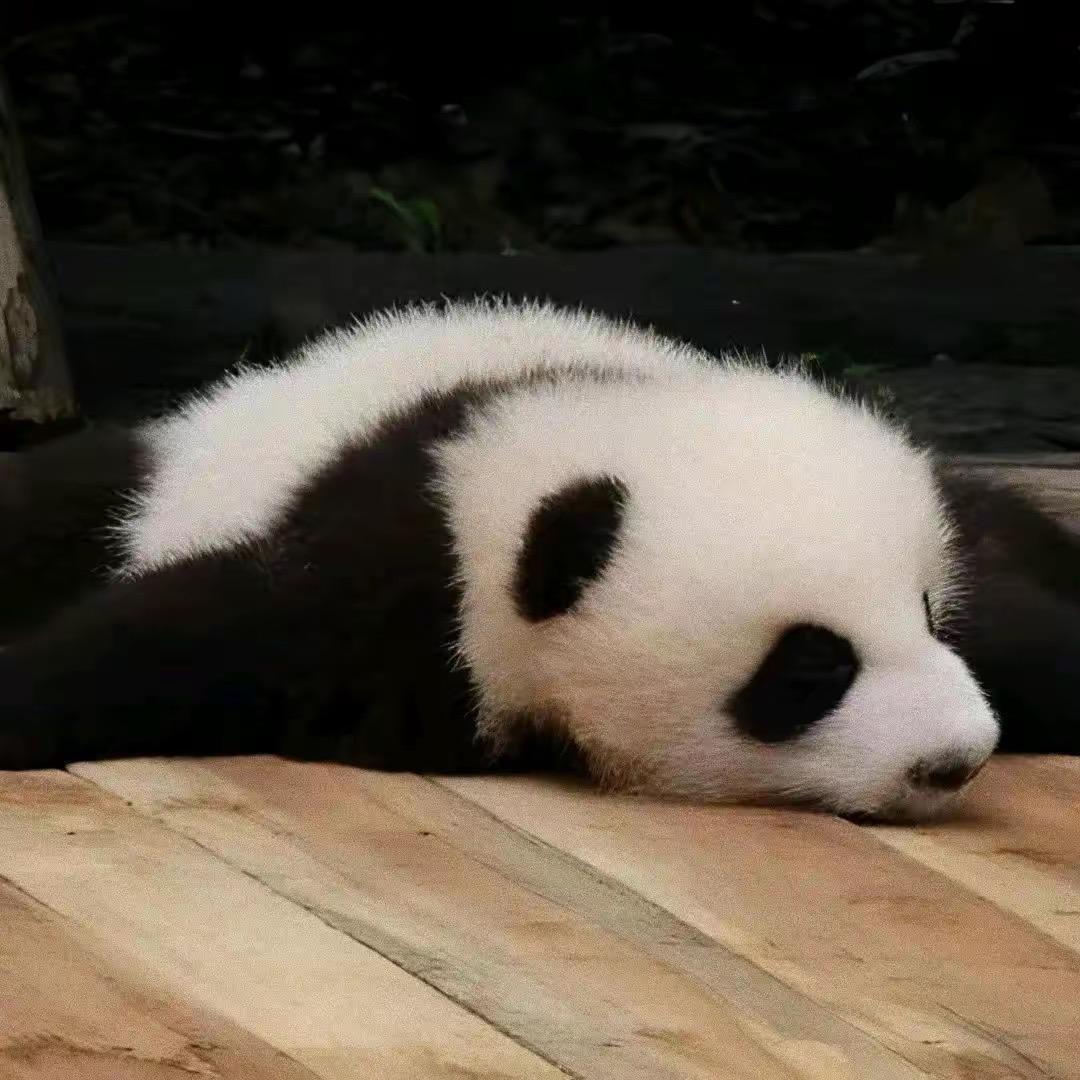 我单身  你呢