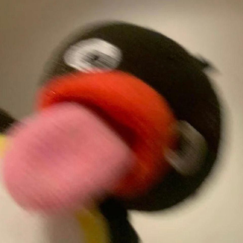 屍殻螂のQQ空间