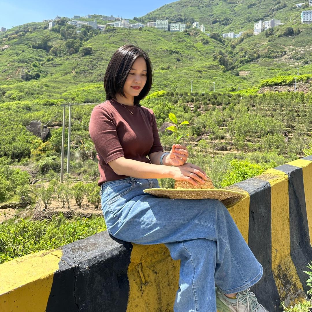 凤凰镇满珍茶行授权号