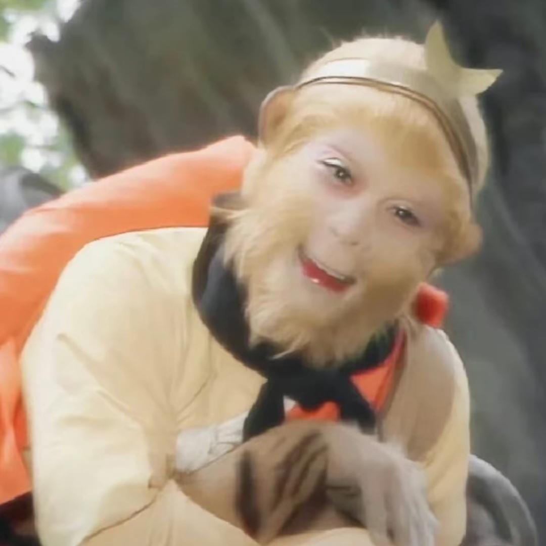 提着唐僧去西天