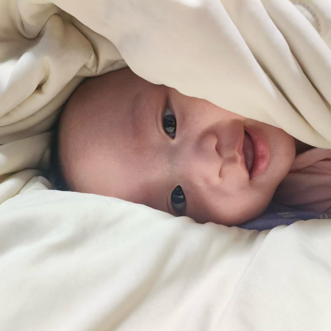 化州小城·林清（文．禧．霖）