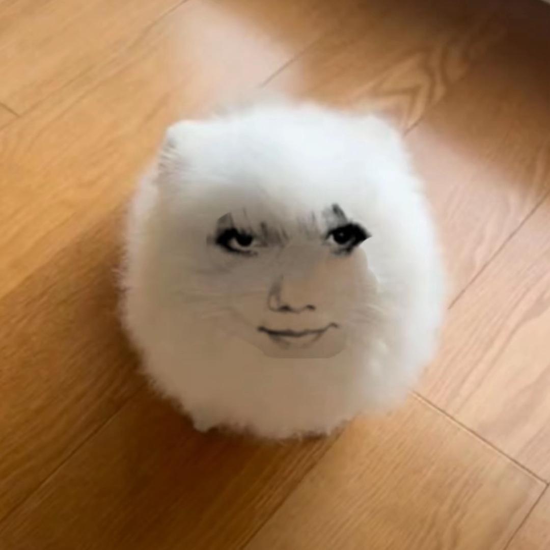 三少日理万机