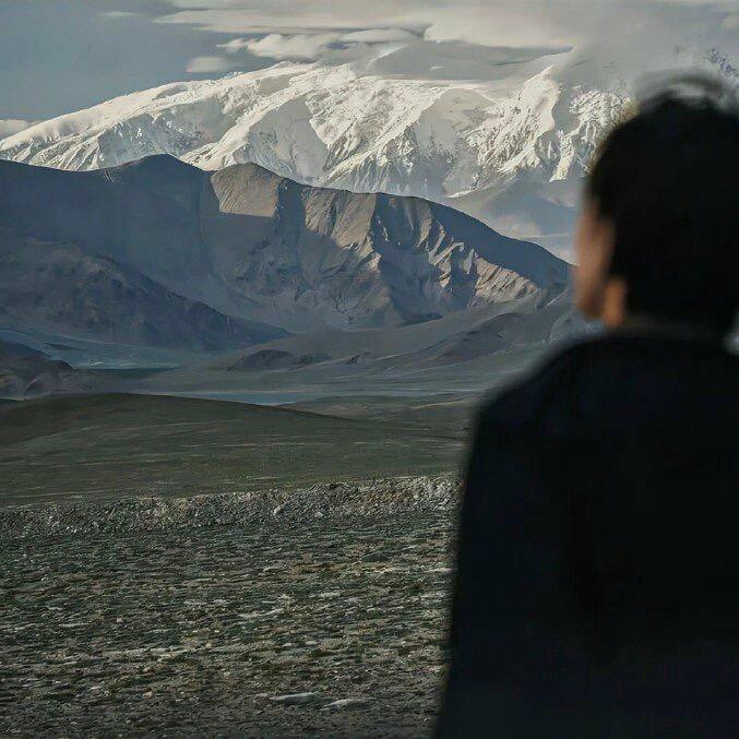 北风吹不到南山