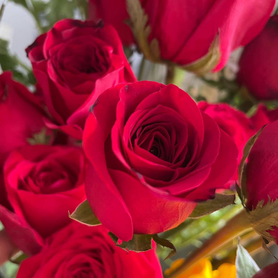 暴富小仙女🧚‍♀️