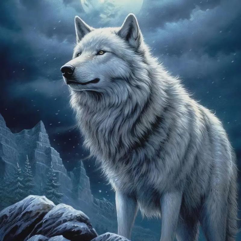 孤🐺狼