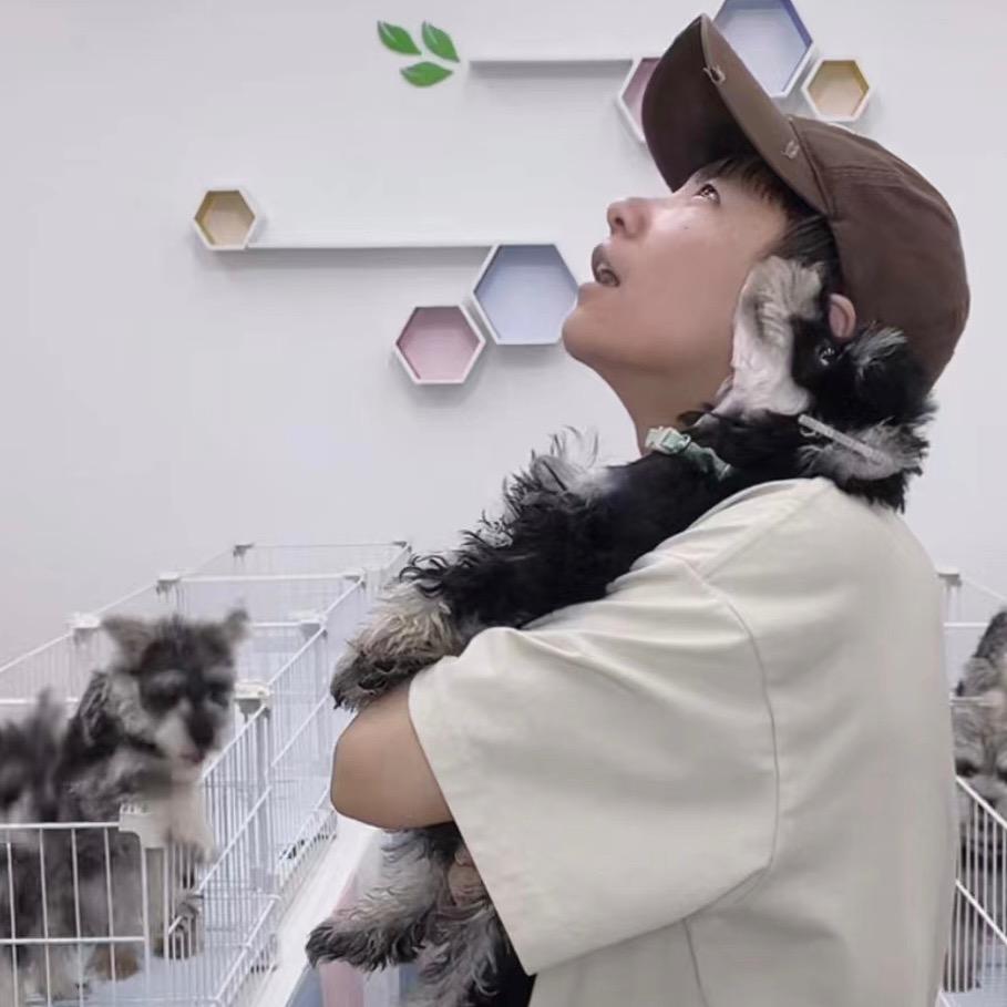 三斤家的雪纳瑞