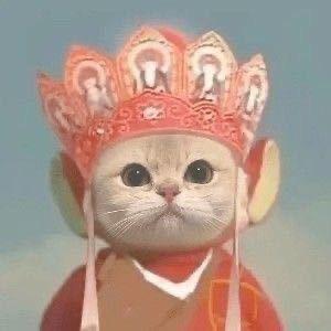 悦悦子在干嘛呢