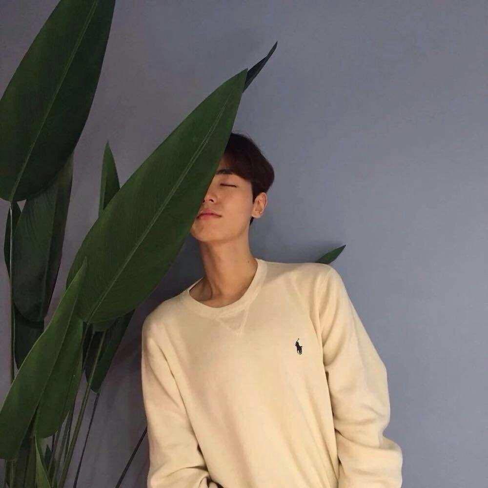 卷卷🔆
