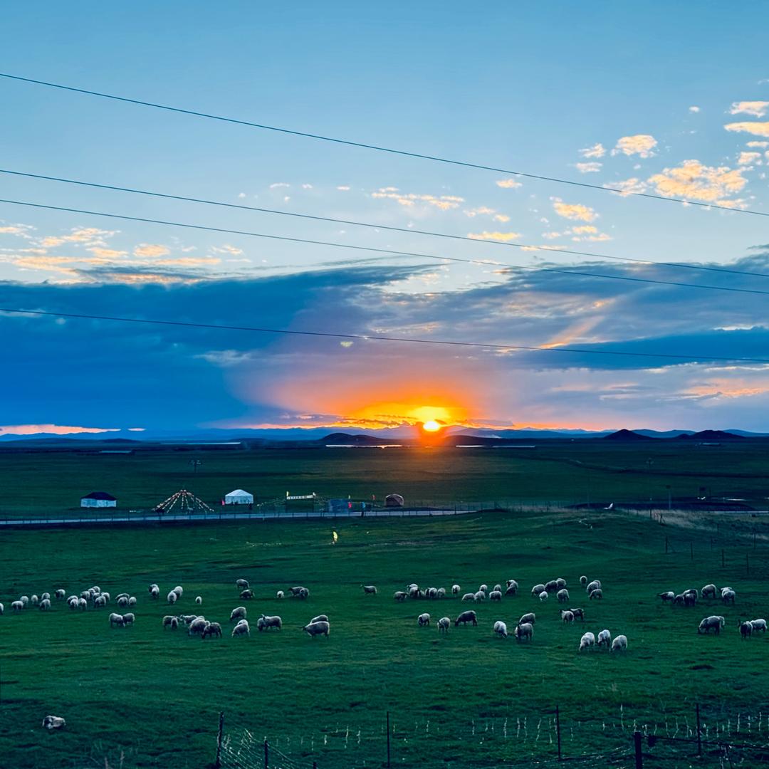 追风牧歌营地🏕️