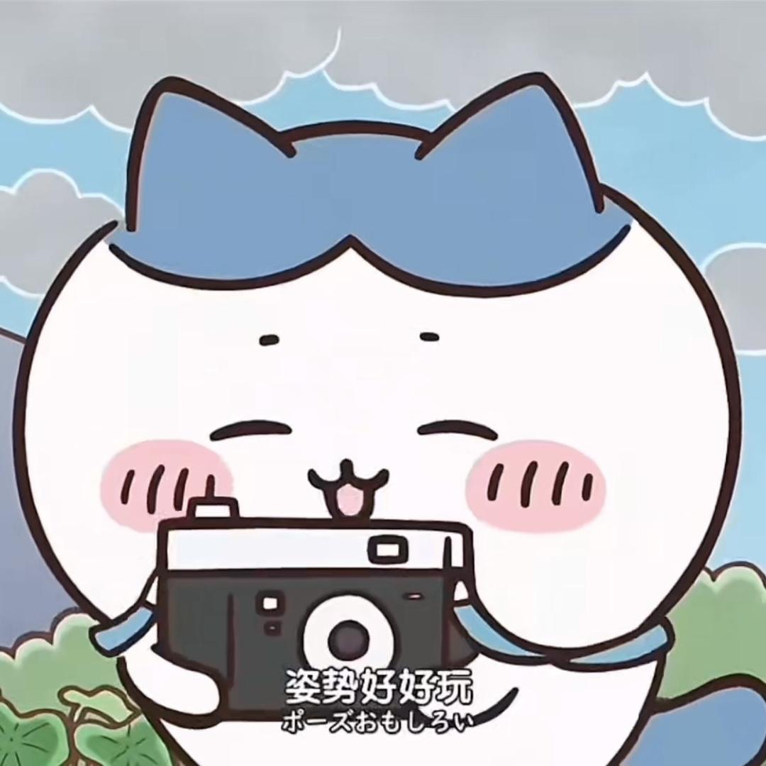 不会按快门的热狗🔰