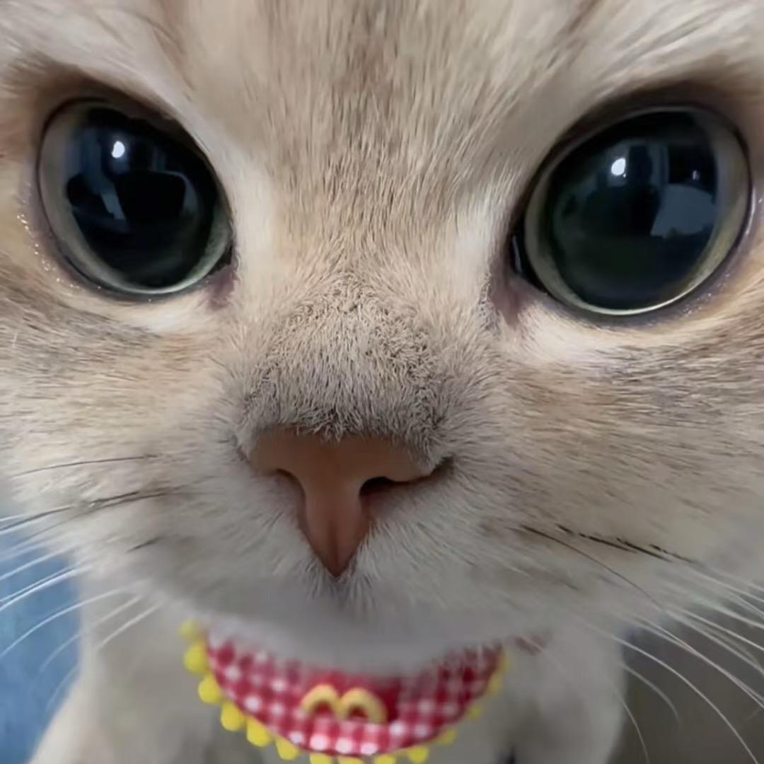 超级奥特曼