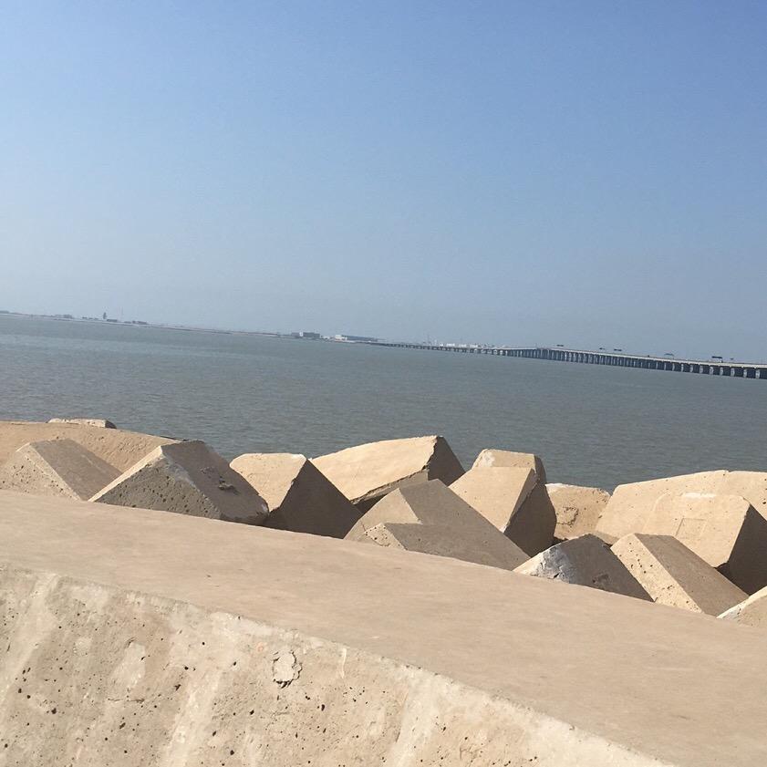 忘掉过去活在当下