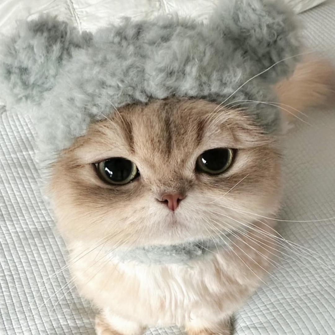 故辞（26号有空）