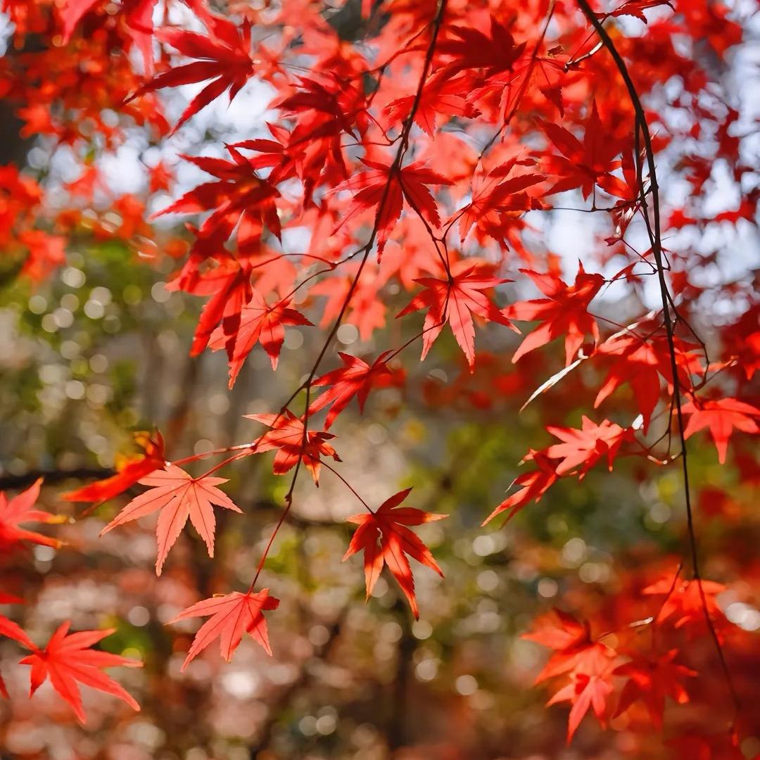 人生之路漫漫其修远
