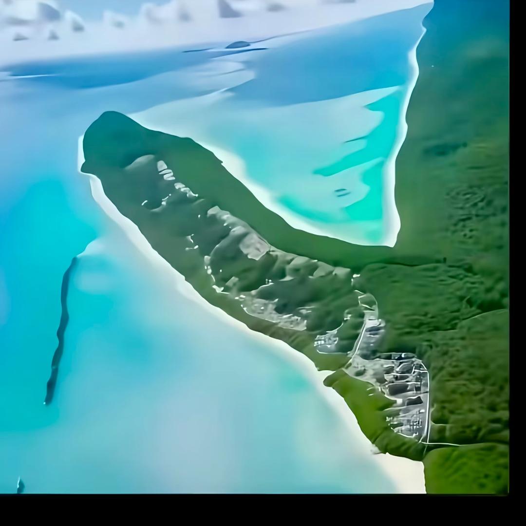 7️⃣萨拉丁👣三少爷的剑