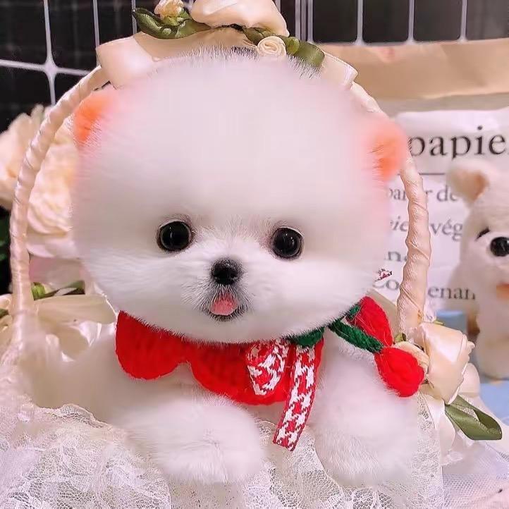 用户4230690227184