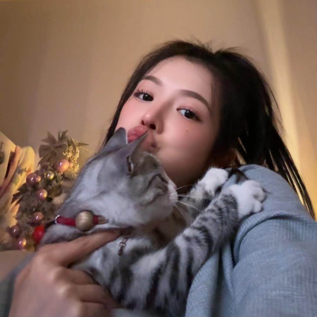 大笨兔子👅