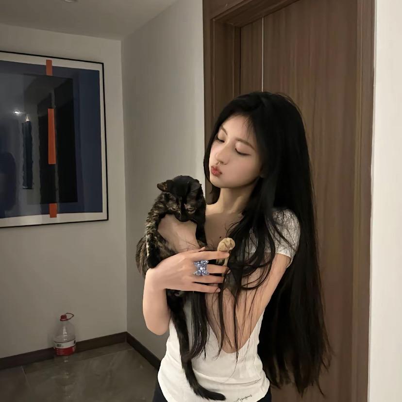 不吃香菜-